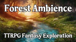 D&D Forest Ambience | Daytime Forest | D&D/TTRPG Ambience