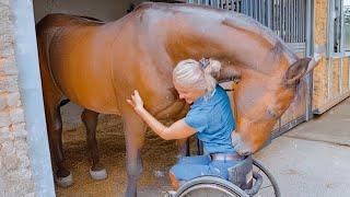 Funny HORSE and her Owner have the Strongest Bond  Best Videos