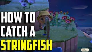 How to Catch a Stringfish | Stringfish ACNH | Animal Crossing New Horizons Stringfish | Stringfish