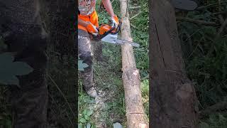 Cutting wood VS Chainsaw Stihl MS180 #shorts