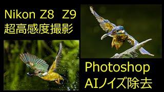 Nikon Z8  Z9  超高感度撮影  Photoshop　AIノイズ除去