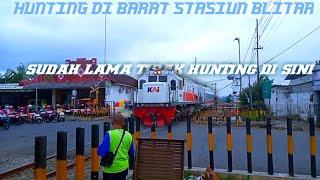 AKHIRNYA TELAH Sekian LAMA TIDAK HUNTING DI BLITAR,AKHIRNYA AWAL BULAN HUNTING DI BLITAR!!!!!!