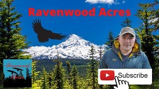 Ravenwood Acres Channel Trailer