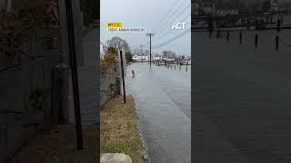 Dog enjoys splashing around in Mystic, CT | NBC Connecticut