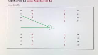 Using OnForm to explain an equine exercise with the angle tool