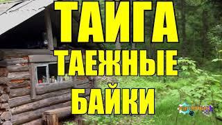 ТАЕЖНЫЕ БАЙКИ | РАССКАЗЫ ОХОТНИКА | ТАЙГА 2 из 2