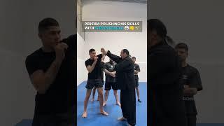 Steven Seagal gave fighting tips to Alex Pereira