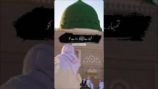 Main Dekhta Hi Rahun Bas Tumhare (SAW) Rozy Ko | @OneUmmah12334 #ilovemyProphetMuhammadSAW