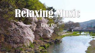 Relaxing Music - Give On - Gentle Music | #CHANSOPHAL