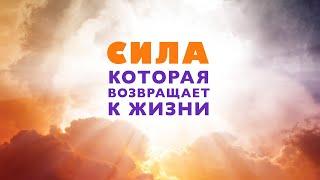 Сила, которая возвращает к жизни – Чудеса в служении Иисуса, Измени свой мир, Рик Реннер