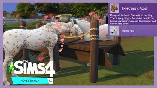 How to Breed Horses in The Sims 4 Horse Ranch