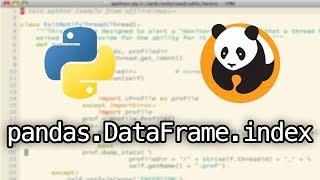 Pandas index Python tutorial: pandas.Dataframe.index