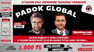 17 Kasım 2024 // Woodbine (Kanada) At Yarışı Tahminleri // Görkem Bağçeci - Orhun Alicikoğlu