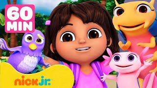 Dora | Doras Mutige Tierrettungen! #2  1 Stunde | Dora the Explorer | Nick Jr. Deutschland