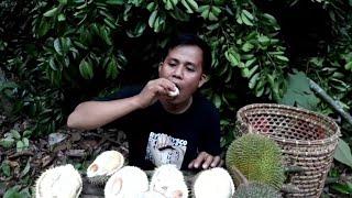 TIPS CARA MEMILIH BUAH DURIAN YANG BAGUS dan BANYAK ISINYA | DURIAN ASLI PALEMBANG