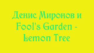 Денис Миронов и Fool's Garden   Lemon Tree