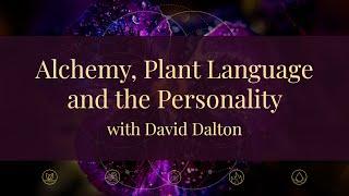 Alchemy, Plant Language and the Personality with David Dalton (excerpt)