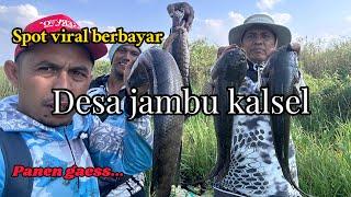 SPOT MANCING VIRAL DESA JAMBU BARU || PANEN IKAN GABUS BABON