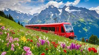 Heavenly Switzerland _ Gorgeous Gem In Swiss AlpsSchynige Platte Mountain View