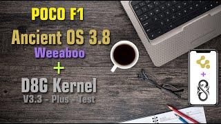 D8G Kernel V3.3 Plus + Ancient Os 3.8 - POCO F1