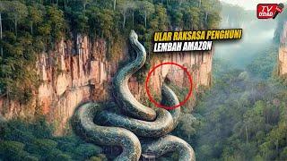 Heboh!! Tempat Persembunyian Ular Raksasa di Hutan Amazon, Diduga Berada Dilembah Amazon...