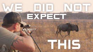 We Hunt an Ancient Wildebeest in Africa!