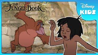   Mowgli and King Louie Dance! | Jungle Book | Disney Kids