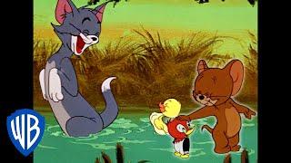 Tom y Jerry en Latino | Viene de familia | WB Kids