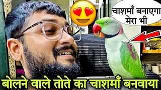 बोलने वाले तोते का कश्मा बनवाया  |#bolnewalaparrot #talkingparrot #mitthu #pets #birds #animallover