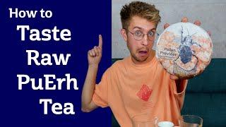 HOW TO TASTE RAW PUERH TEA