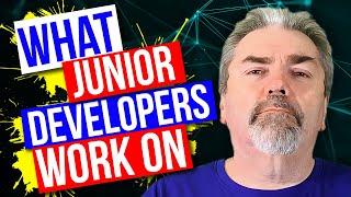 What Would A Junior Developer Work On?