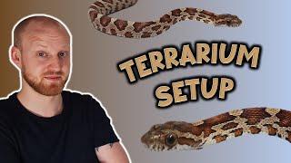 Baby Corn Snake Enclosure Setup [Pantherophis guttatus] | JOHAN EXOTIC