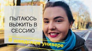 VLOG: IKEA/ ОФИГЕВАЮ ОТ ШВЕДСКОГО УНИВЕРА/ МИТИНГИ в Швеции/ На меня НАЕХАЛИ