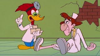 Doctor Woody | 1 Hour of Woody Woodpecker Full Episodes