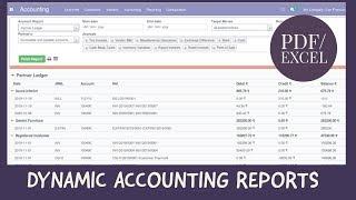 Dynamic Accounting Reports - Print PDF & Excel