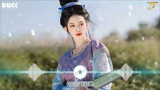 LK Nhạc Hoa Lời Việt Remix Hay Nhất 2024  Nhạc TikTok Trung Quốc Lời Việt Remix