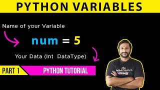 #1 Python Variables | Variables in Python | Python Tutorial for Beginners in tamil #pythonvariables