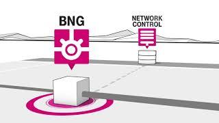 BNG bei der Telekom: Was genau macht der Broadband Network Gateway (BNG)?