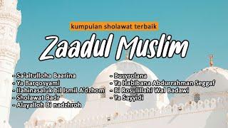 SHOLAWAT ZAADUL MUSLIM TERBAIK #zaadulmuslim #zm #sholawat #syair