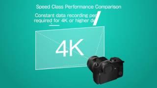 Video Speed Class in SD Memory Cards