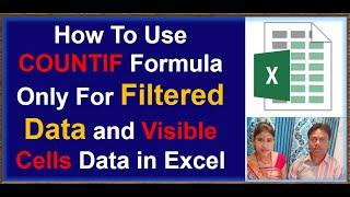 How To Use COUNTIF Formula Only For Filtered Data and Visible Cells Data in Excel | excel