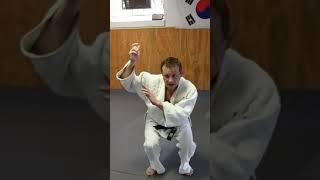 SEOI NAGE BY DAVID LOSHELDER #europeanjudo #martialarts #judotraining #olympicjudo #judostreet