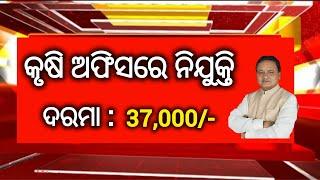 Odisha Agriculture Department Recruitment 2024 ! Salary upto 37,000 Per Month ! Odisha Jobs