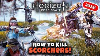 How to Kill Scorchers | Horizon Zero Dawn 2022 | Master Machine Hunting Guide