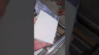 Paneer Vacuum Sealing machine