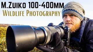 M.Zuiko 100-400mm f/5-6.3 for WILDLIFE PHOTOGRAPHY REVIEW