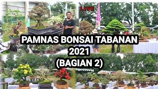 Pamnas BONSAI TABANAN 2021(BAGIAN 2)@ AKANGSASTRA PROJECT NEW