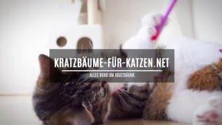 Kratzbäume für Katzen