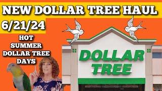 Dollar Tree Haul: What's New In Stores On June 21st, 2024!