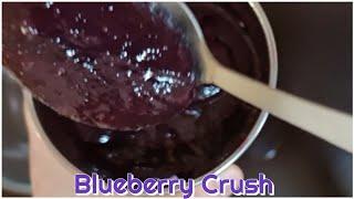 Blueberry crush recipe🫐 || Only 2 ingredients homemade Blueberry crush